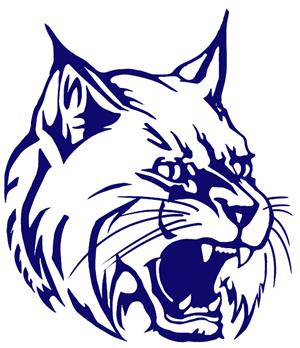 Wildcat Wildcat